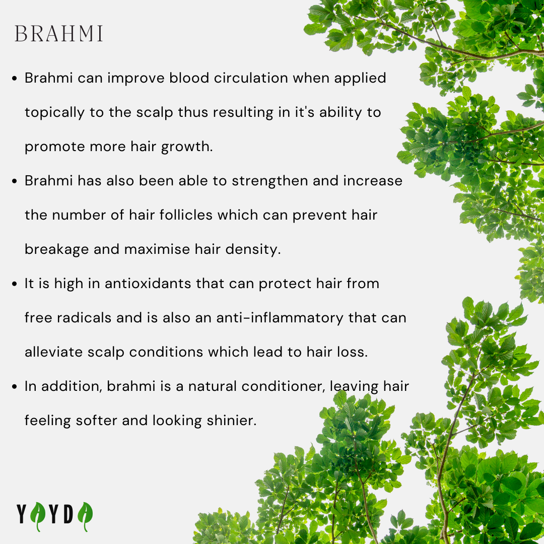 Benefits of Brahmi with images of the leaves