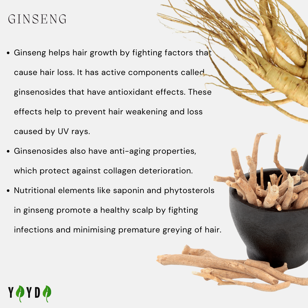 Benefits of Ginseng with images of the plant 