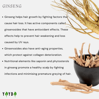 Benefits of Ginseng with images of the plant 