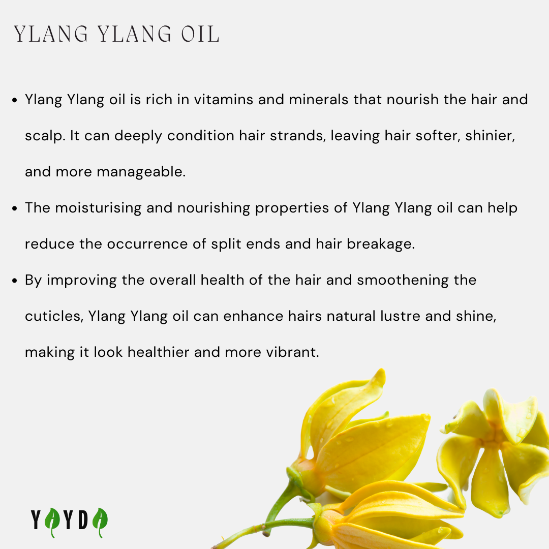 Hair benefits of Ylang Ylang oil