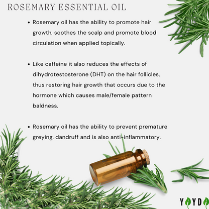 Benefits of rosemary oil
